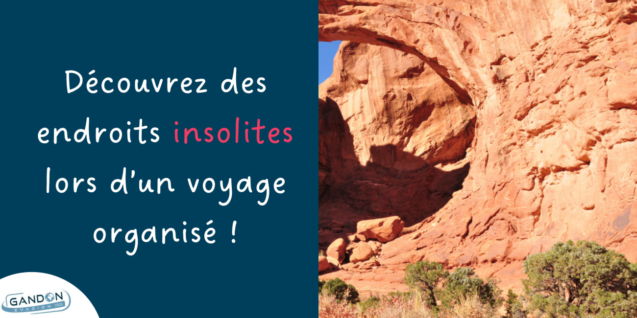 Les voyages organis&eacute;s permettent aux seniors de faire des voyages qu'ils n'auraient pas os&eacute;s faire seuls
