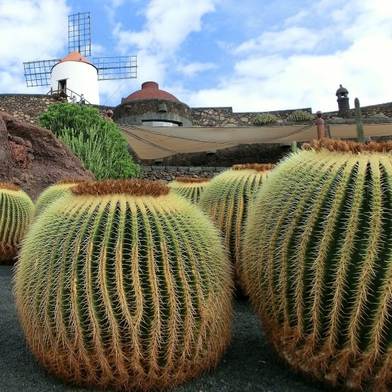 Séjour à Lanzarote