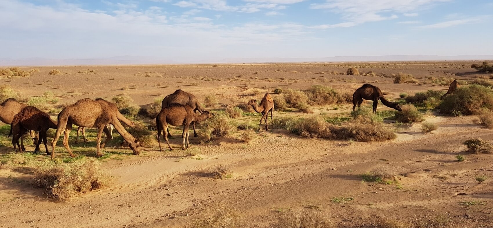 Grand tour du Maroc