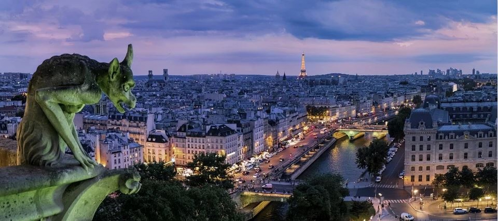 Illuminations de Paris et dîner croisière sur la Seine