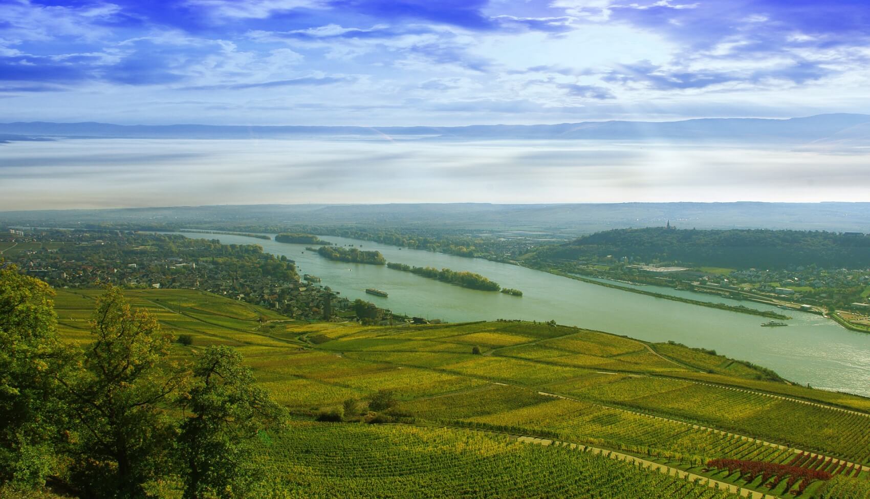 Croisière sur le Rhin