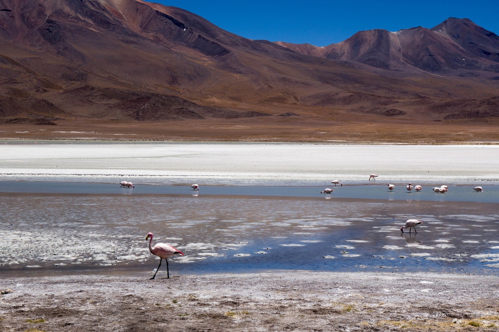 Du Pérou à la Bolivie