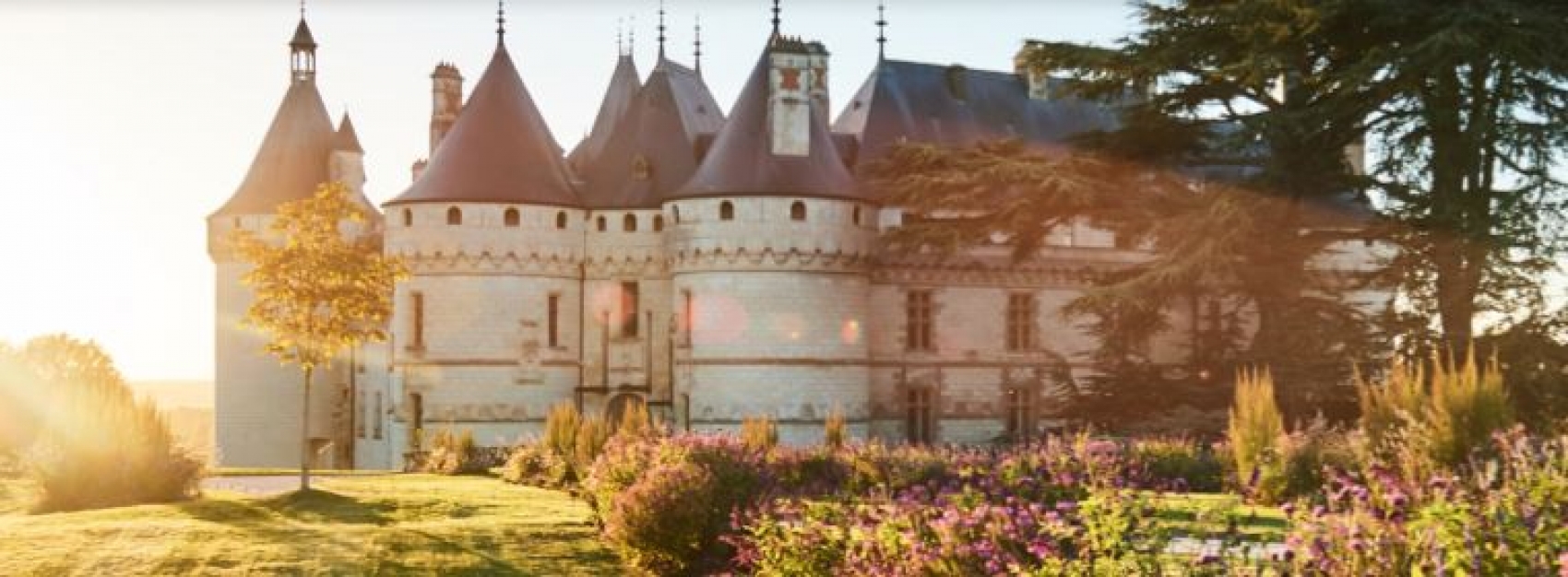 Son et Lumière au Château royal de Blois