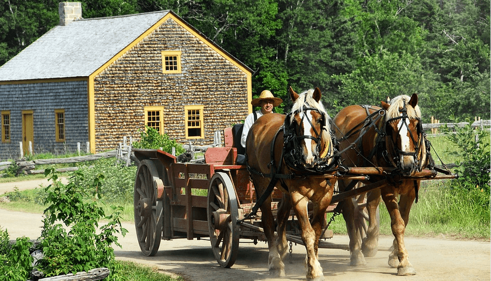 Promenade en calèche