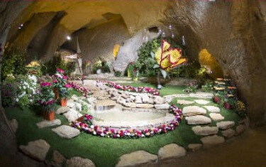 L'accès aux Arènes de Doué la Fontaine pour l'exposition florale