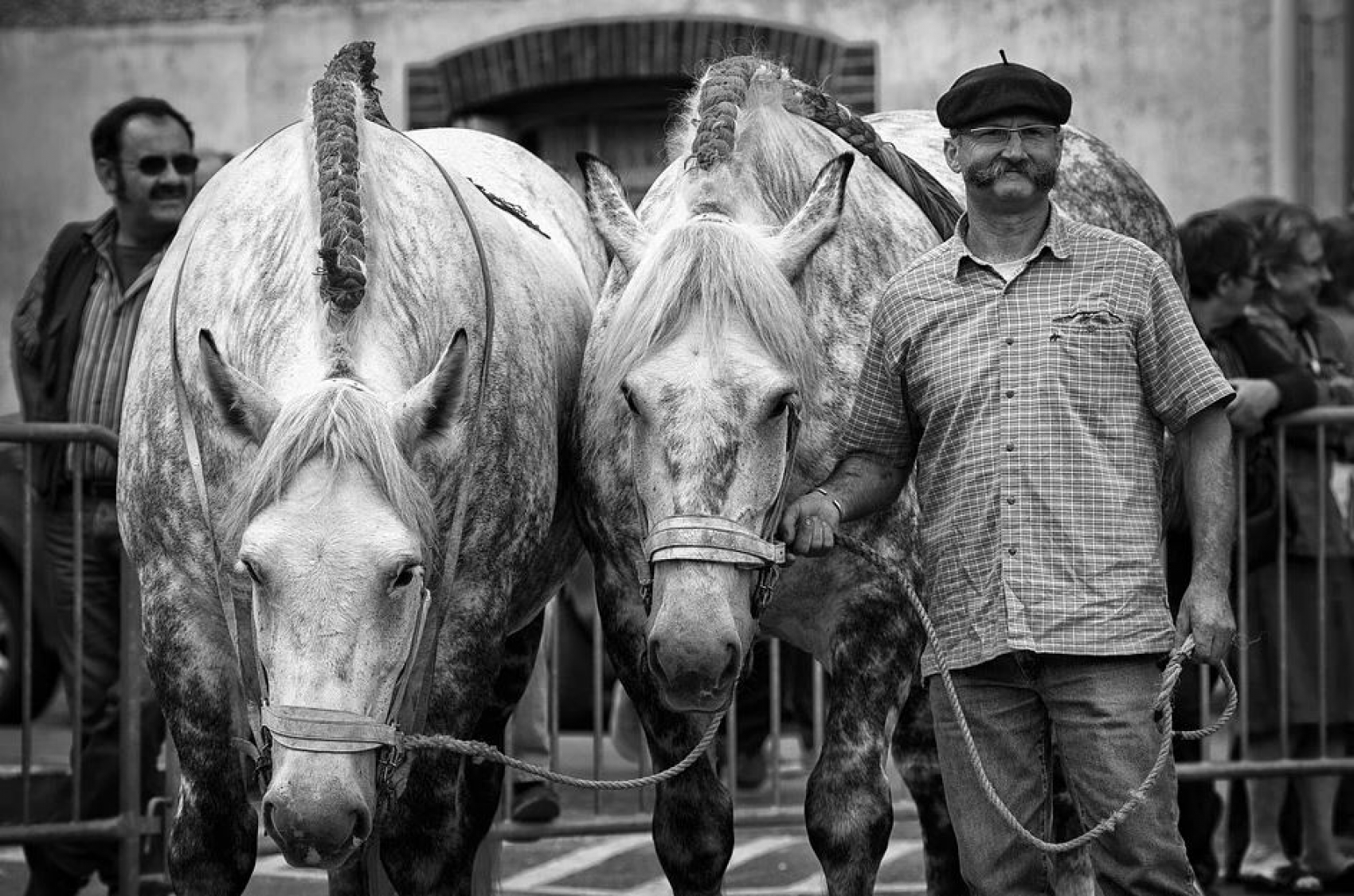 Foire Sainte Croix à Lessay (50)