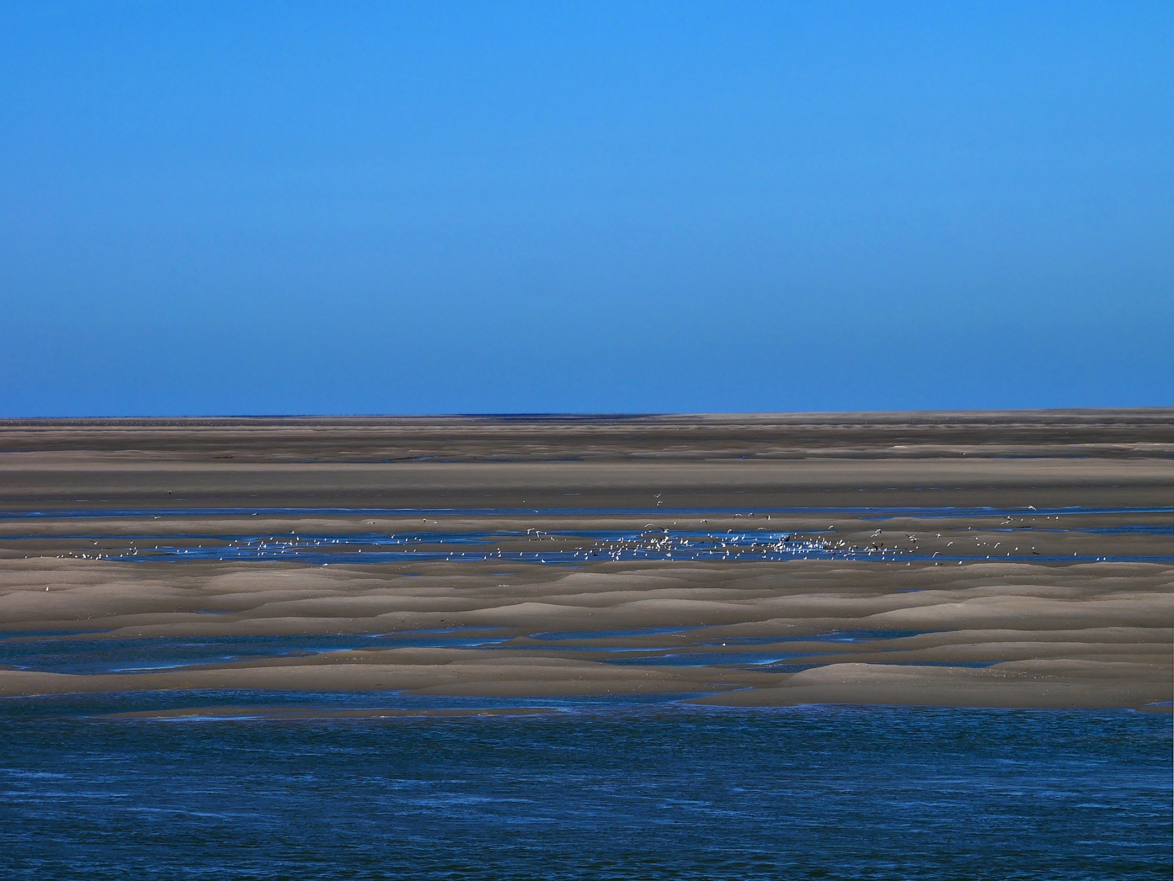 Baie de Somme 