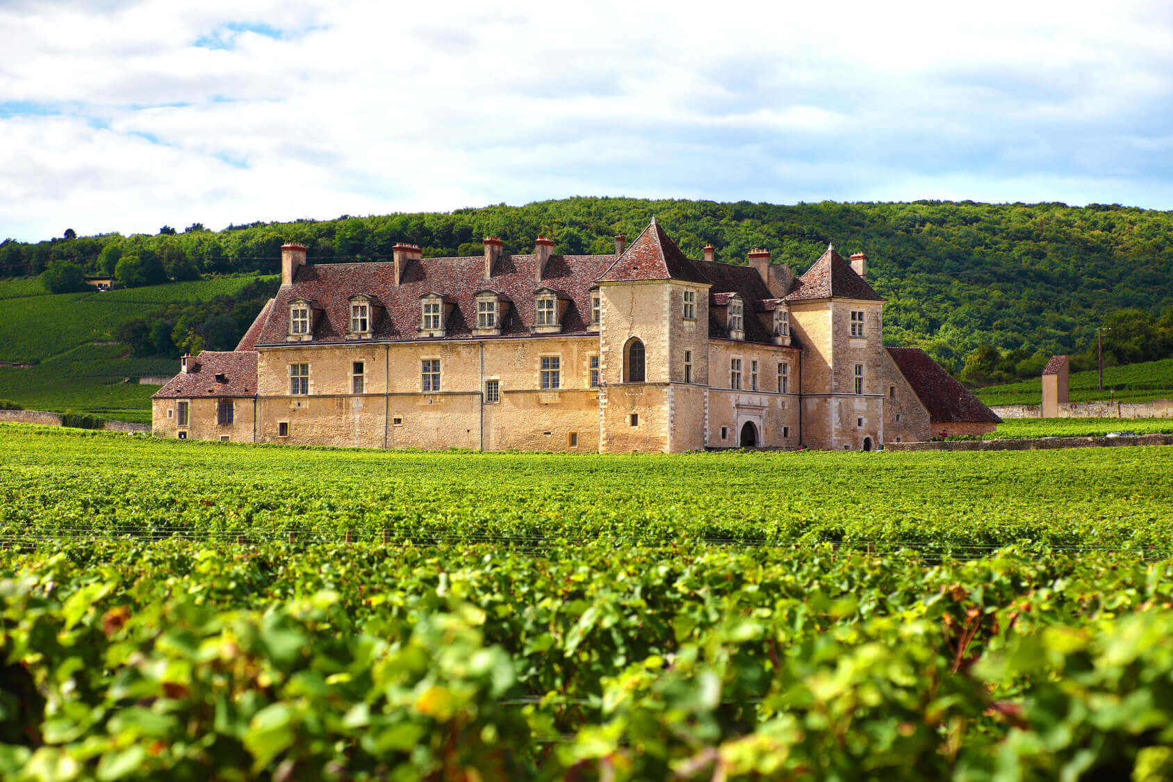 Bourgogne et Château de Guédelon