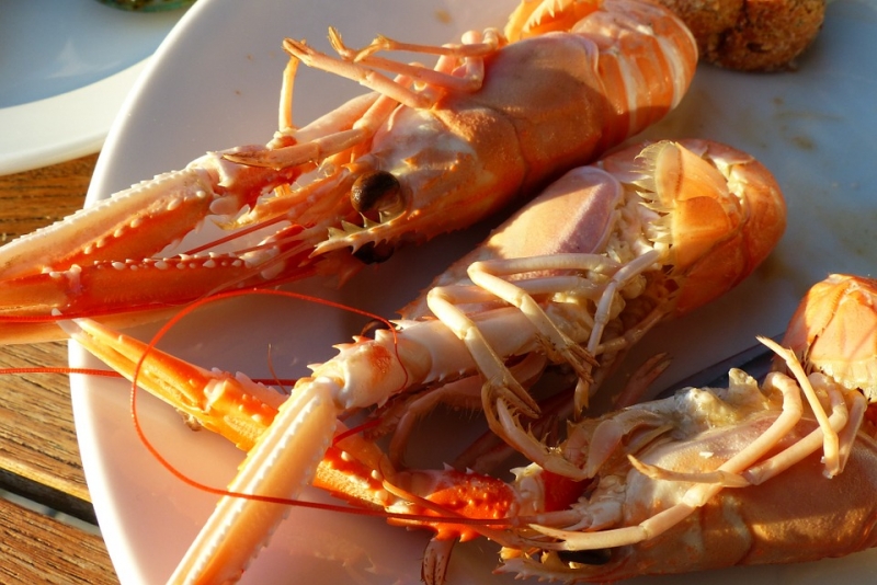 Fête de la Langoustine à Muzillac