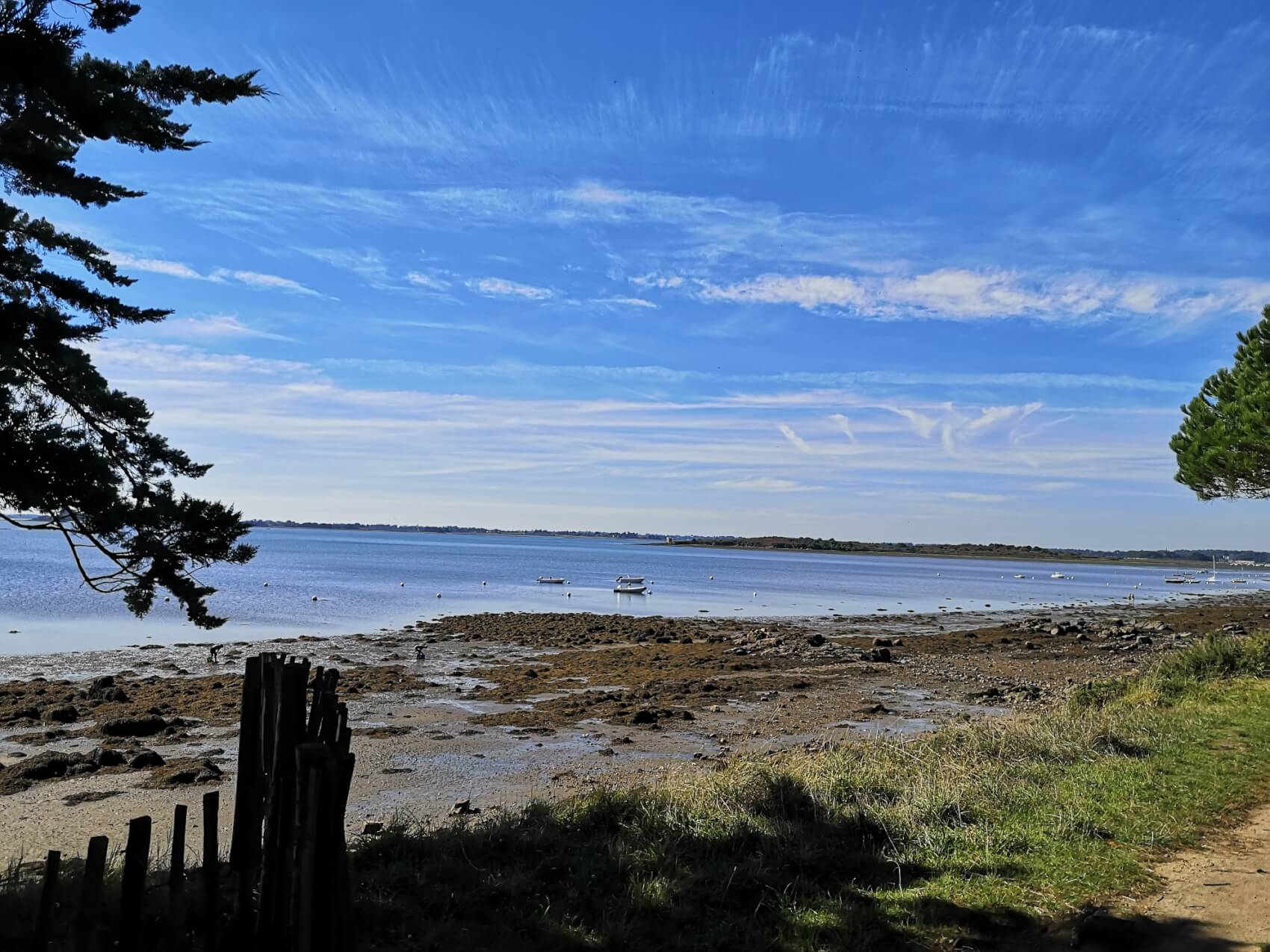 Matinée du 1er janvier libre ou bord de mer