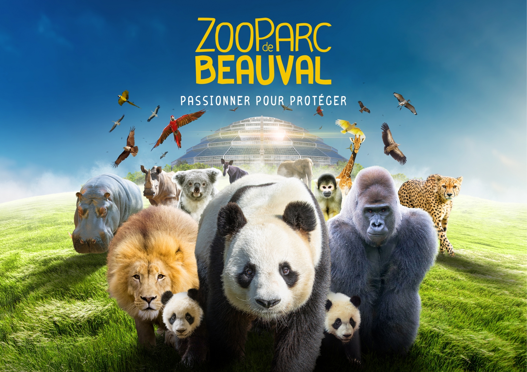 video presentation zoo de beauval