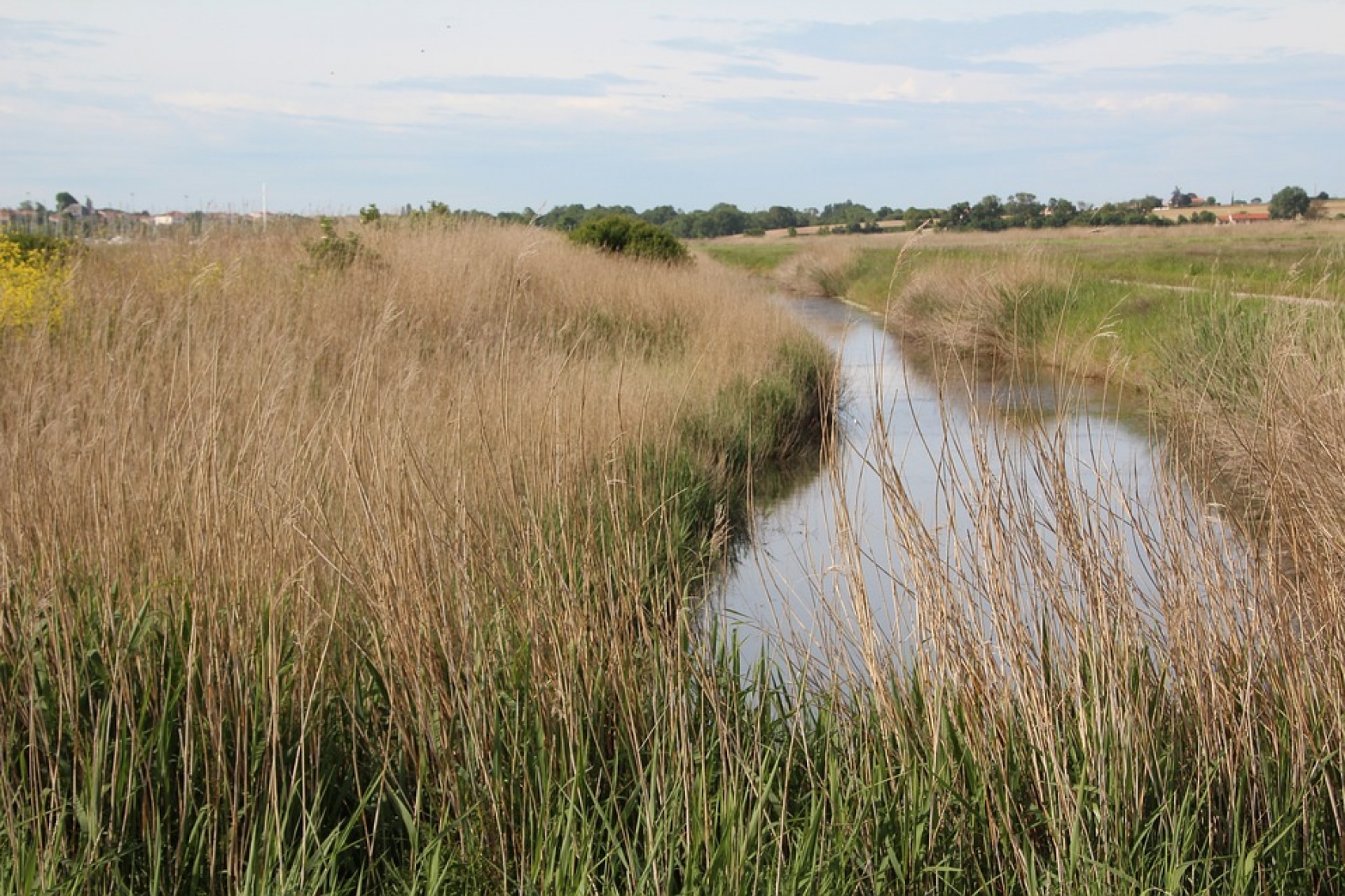 Journée Maraîchine dans le Marais Poitevin