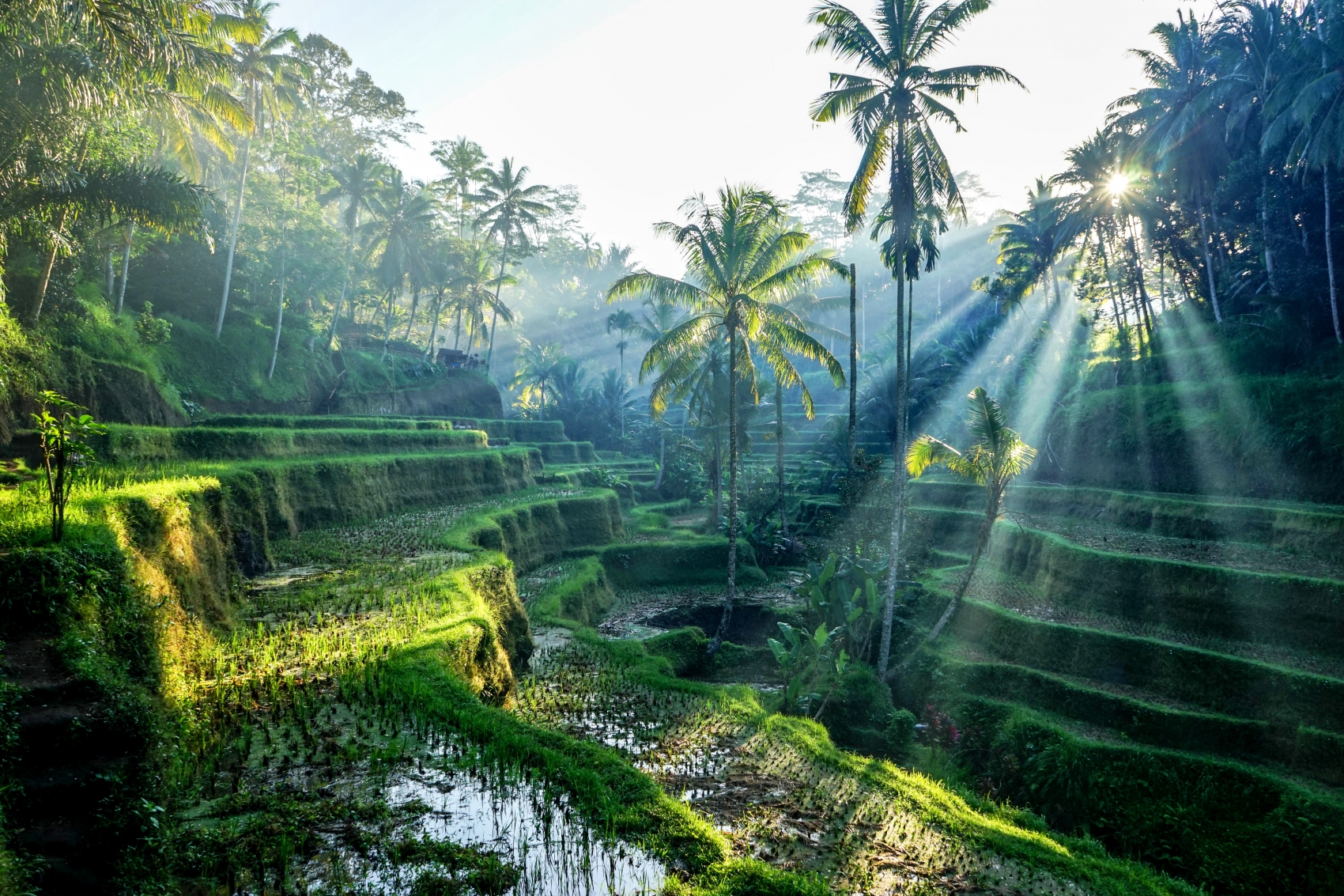 BALI (Indonésie)