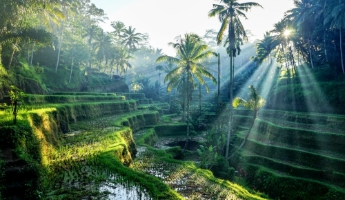 BALI (Indonésie)