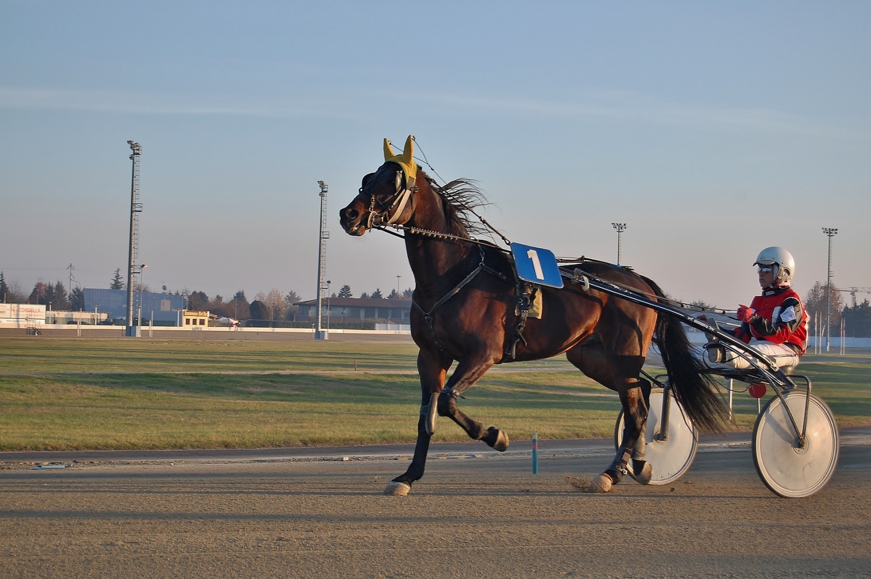 Grand National du Trot - Vincennes