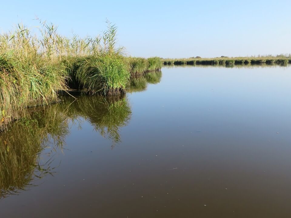 La visite guidée du Parc de la Grande Brière en calèches et barques