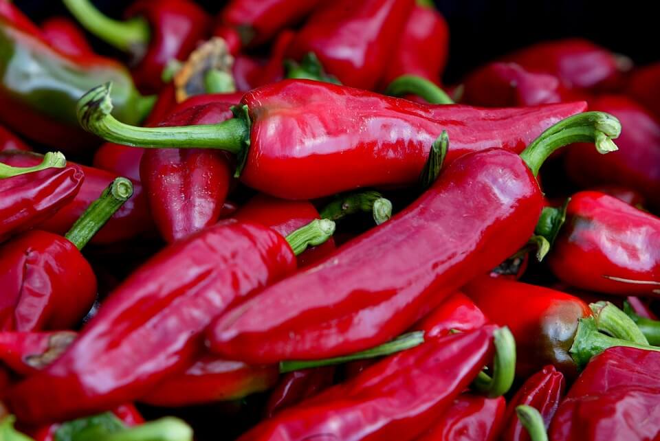 Pays Basque et la fête du piment d'Espelette !