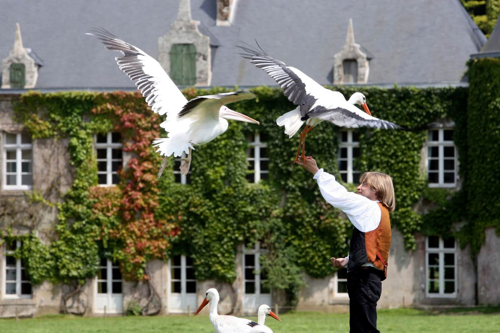 Après-midi libre au Parc de Branféré