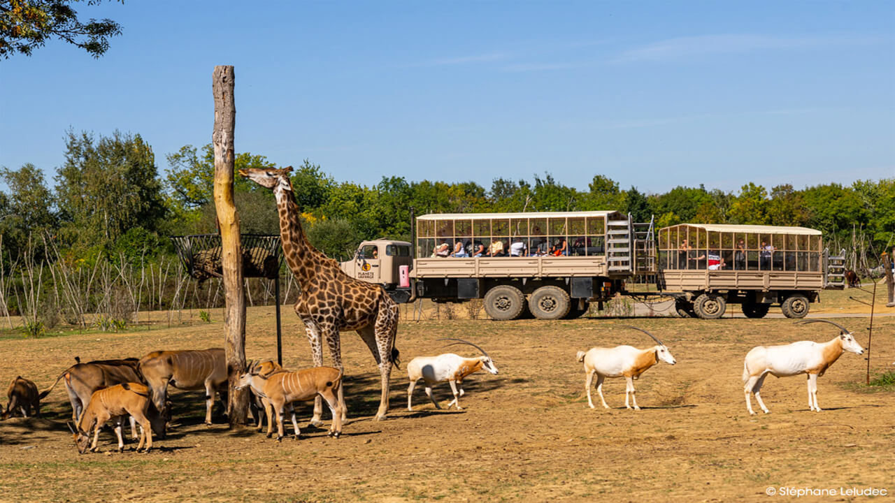 La piste safari guidée en camion 4X4 de Planète Sauvage