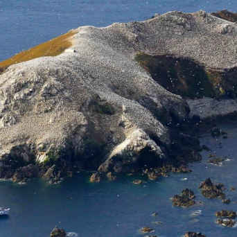 Côte de granit rose et les 7 îles