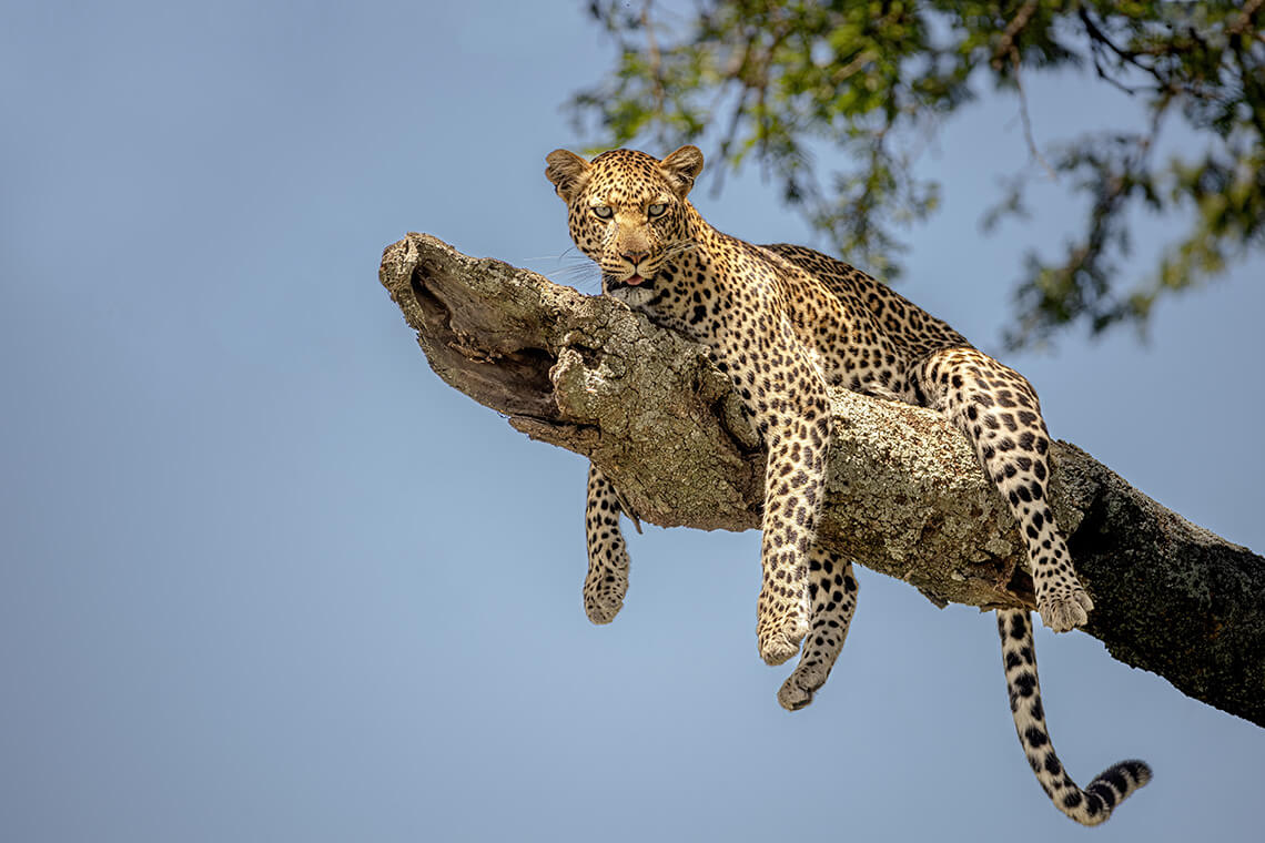 Tanzanie - Zanzibar