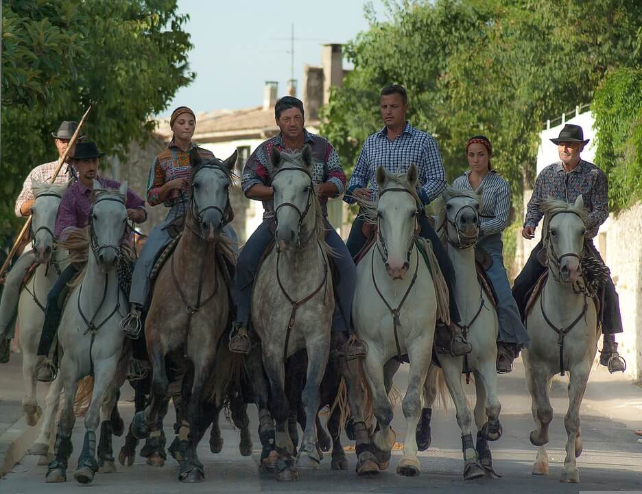 La Camargue - AMICALE DES RETRAITÉS WILO SALMSON