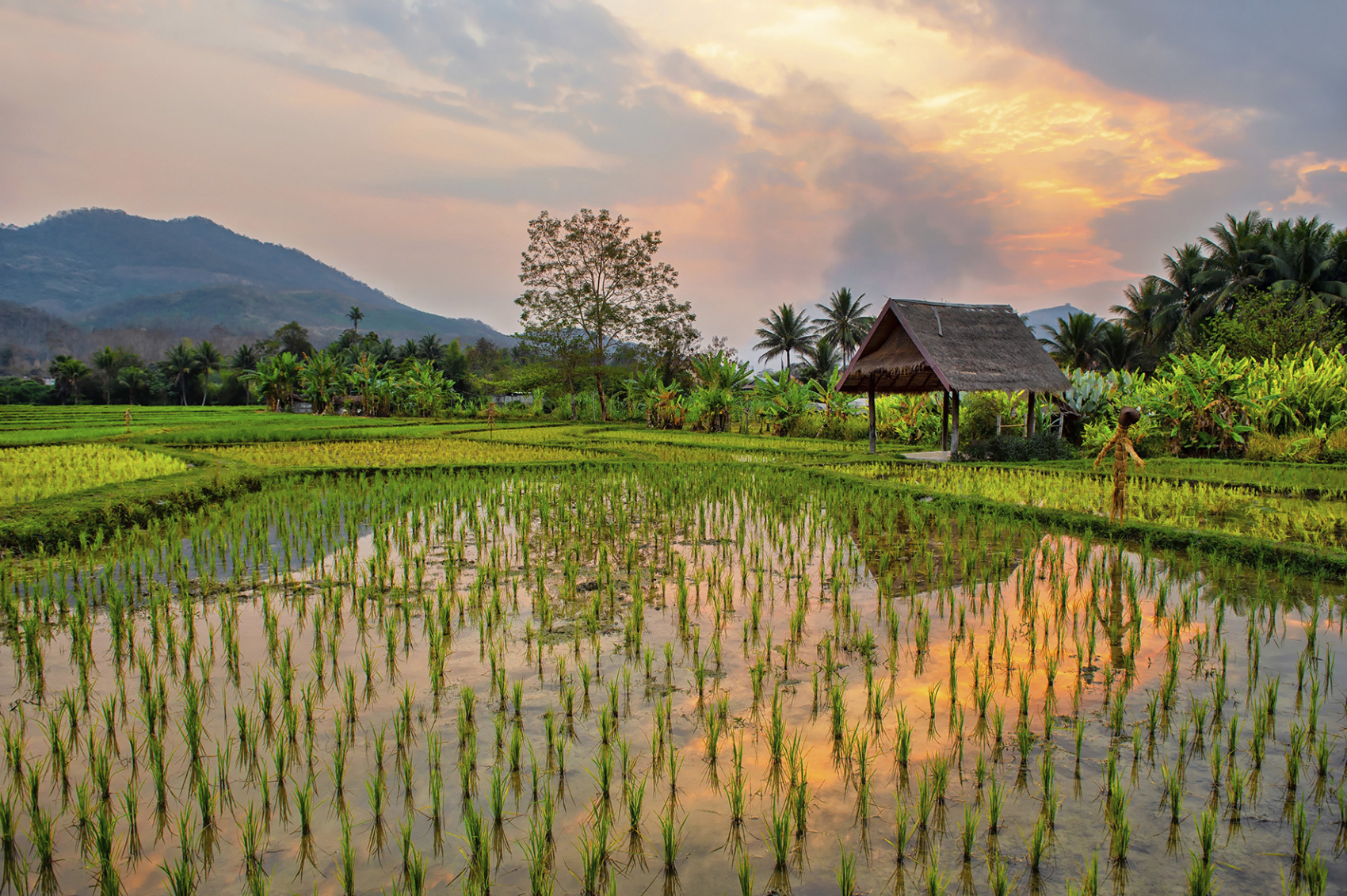 Laos - Cambodge