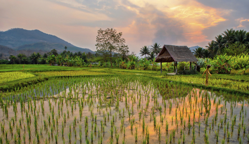 Laos - Cambodge