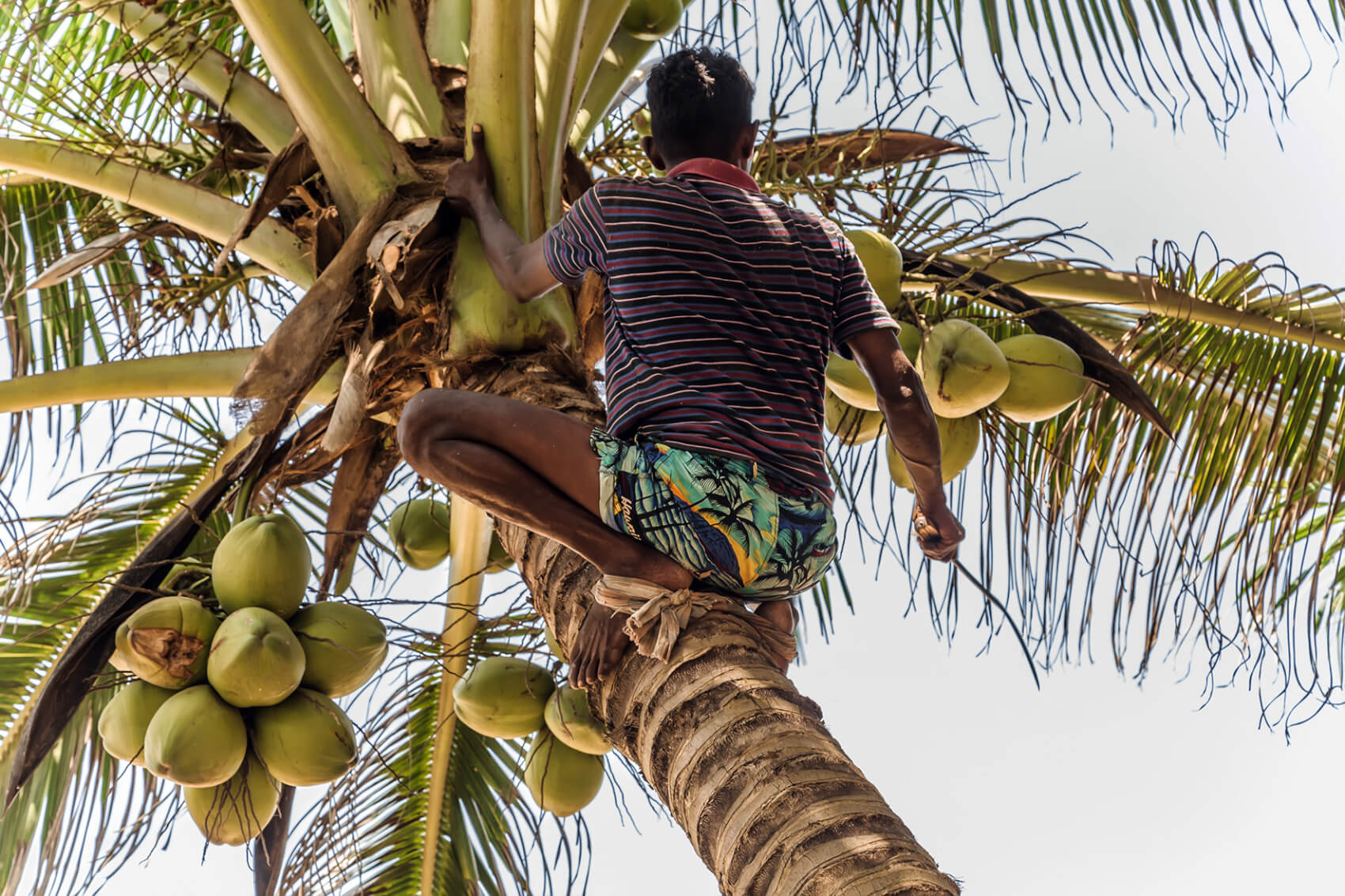Sri Lanka
