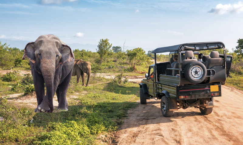 Sri Lanka