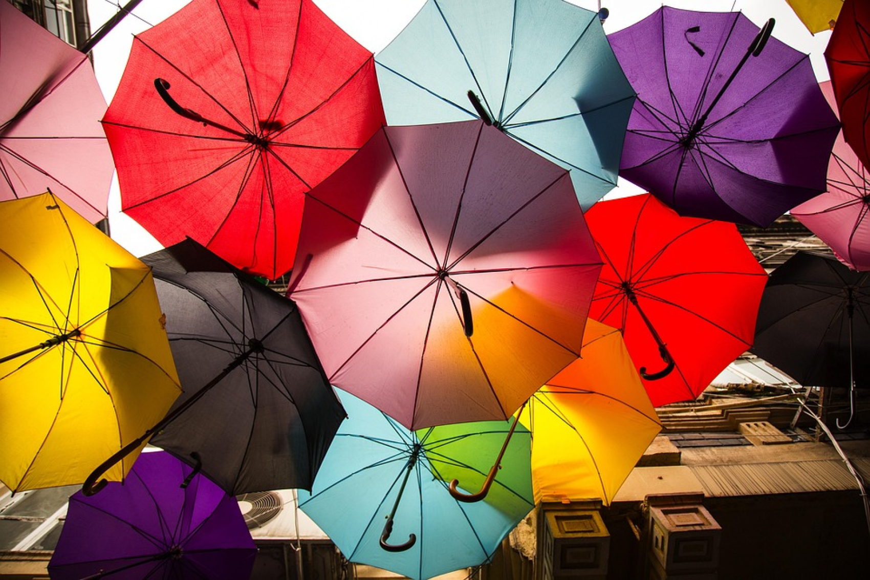 Parapluies de Cherbourg et la Hague sauvage