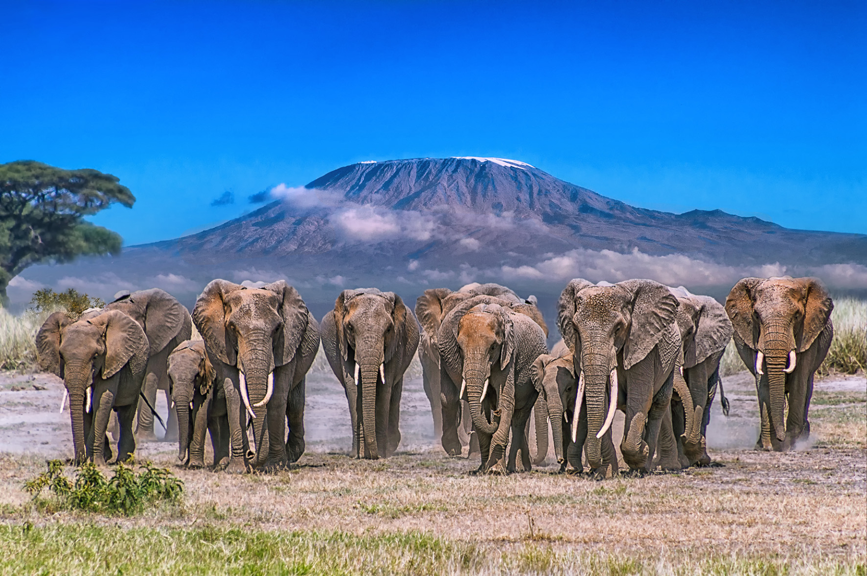 Kenya