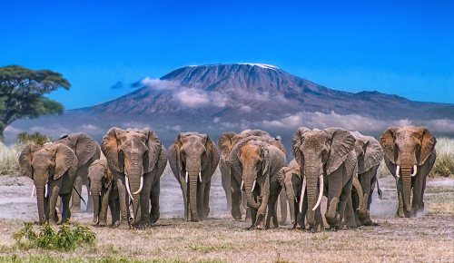 Kenya