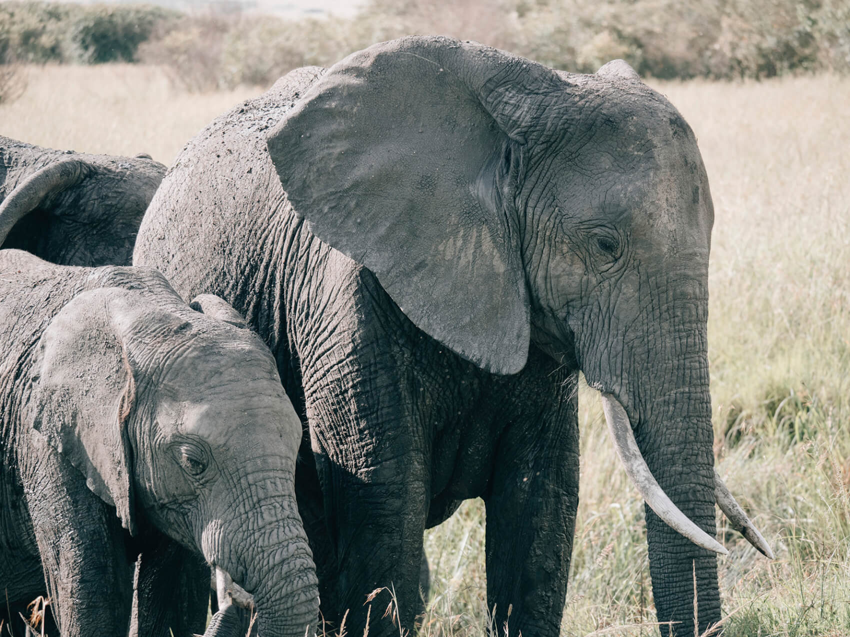 Kenya