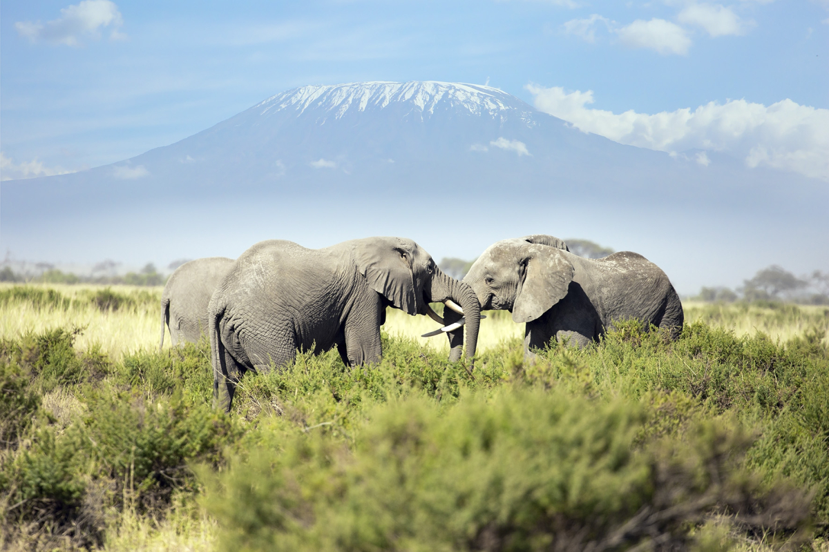 Kenya