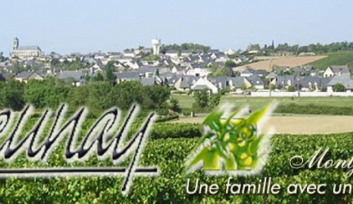 Vendanges à Montjean sur Loire avec Samy