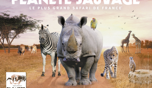 Planète Sauvage - Port Saint Père