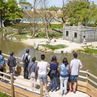 Planète Sauvage - Port Saint Père