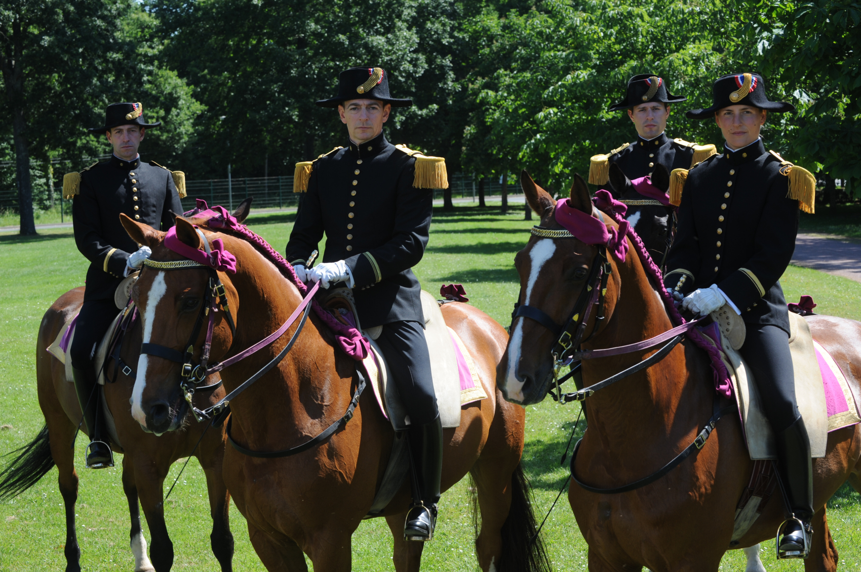 Matinale du Cadre Noir et merveilles du Saumurois