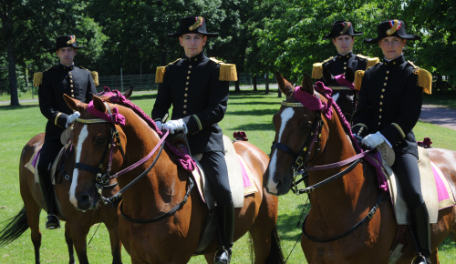 Matinale du Cadre Noir et merveilles du Saumurois