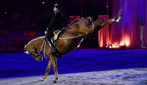 Troglo et Cadre Noir