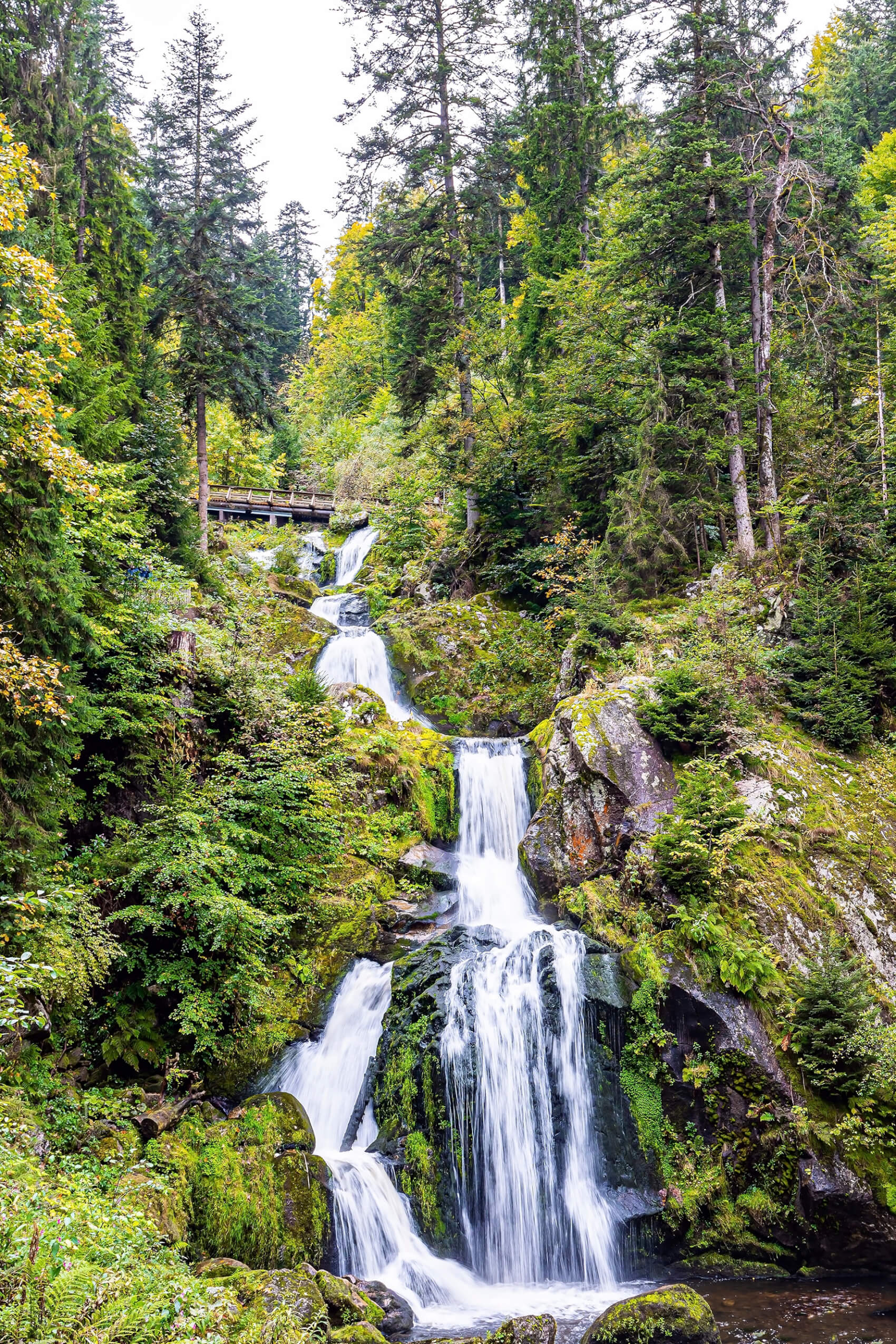 Allemagne : séjour en FORET NOIRE
