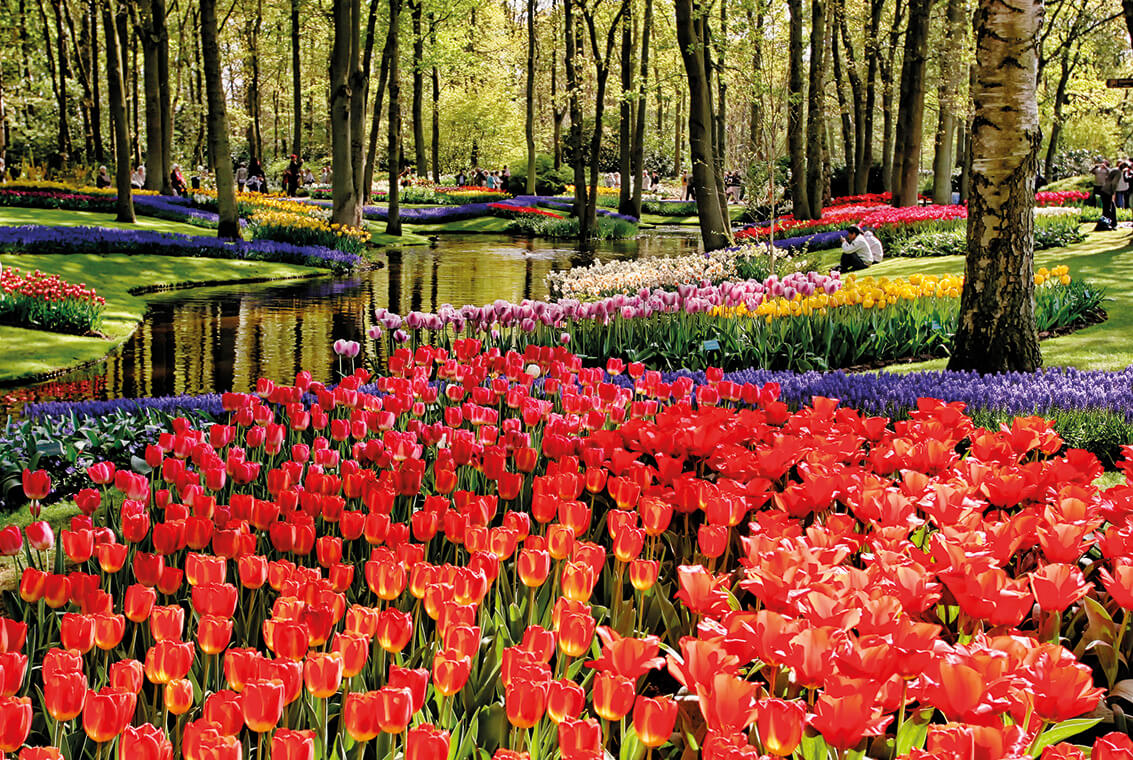 Hollande - Belgique - LES AINES CREDIT MUTUEL