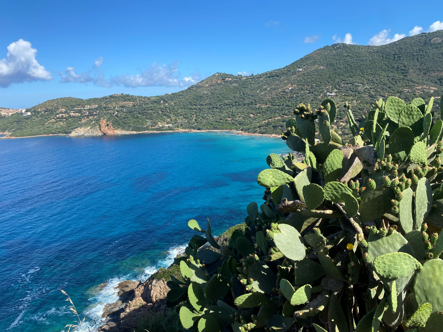 PROGRAMME : Grand tour de Corse