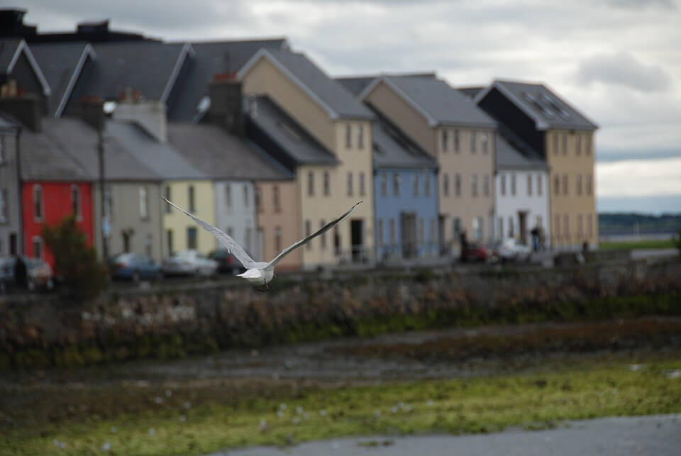 VOTRE PROGRAMME : Balade Irlandaise
