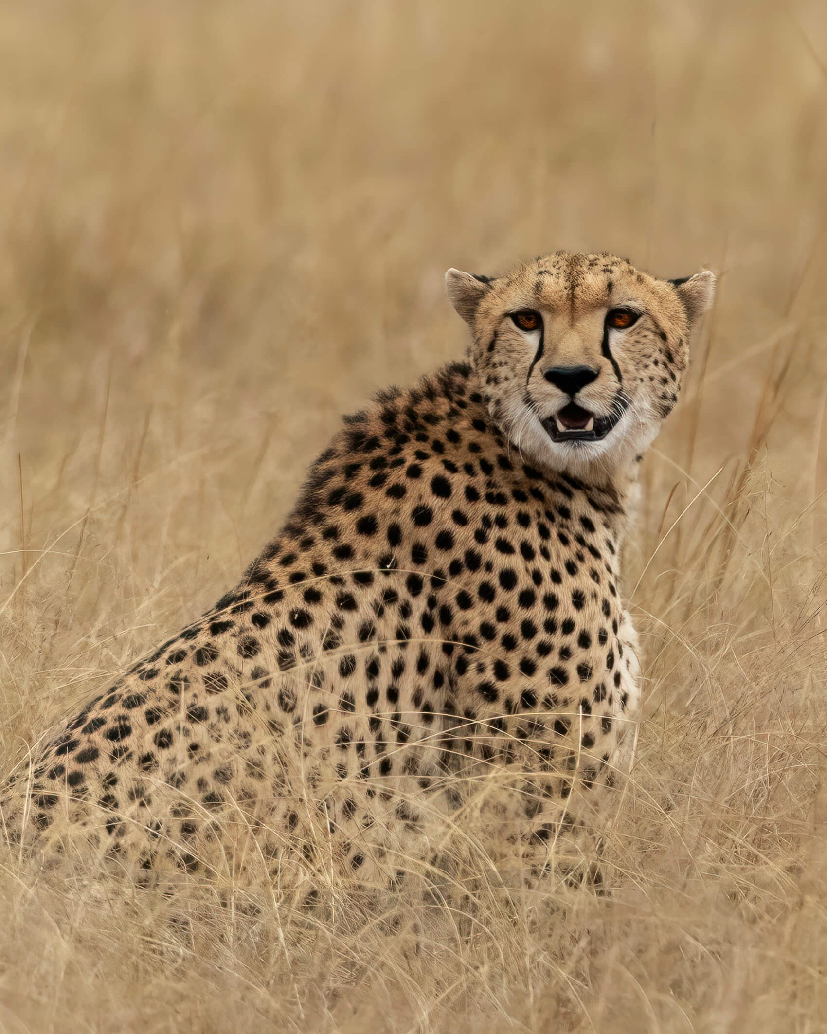 Kenya