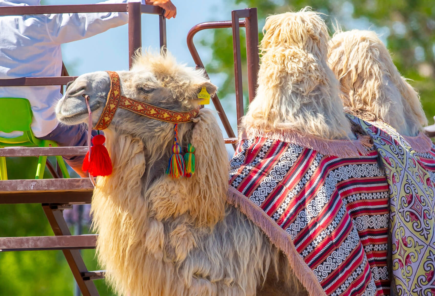 VOTRE PROGRAMME : Ouzbekistan