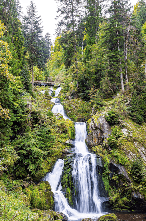 Allemagne : séjour en FORET NOIRE