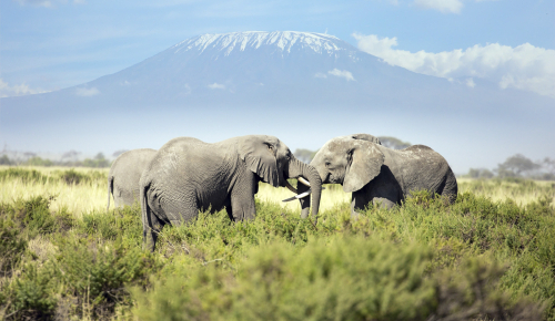 Kenya