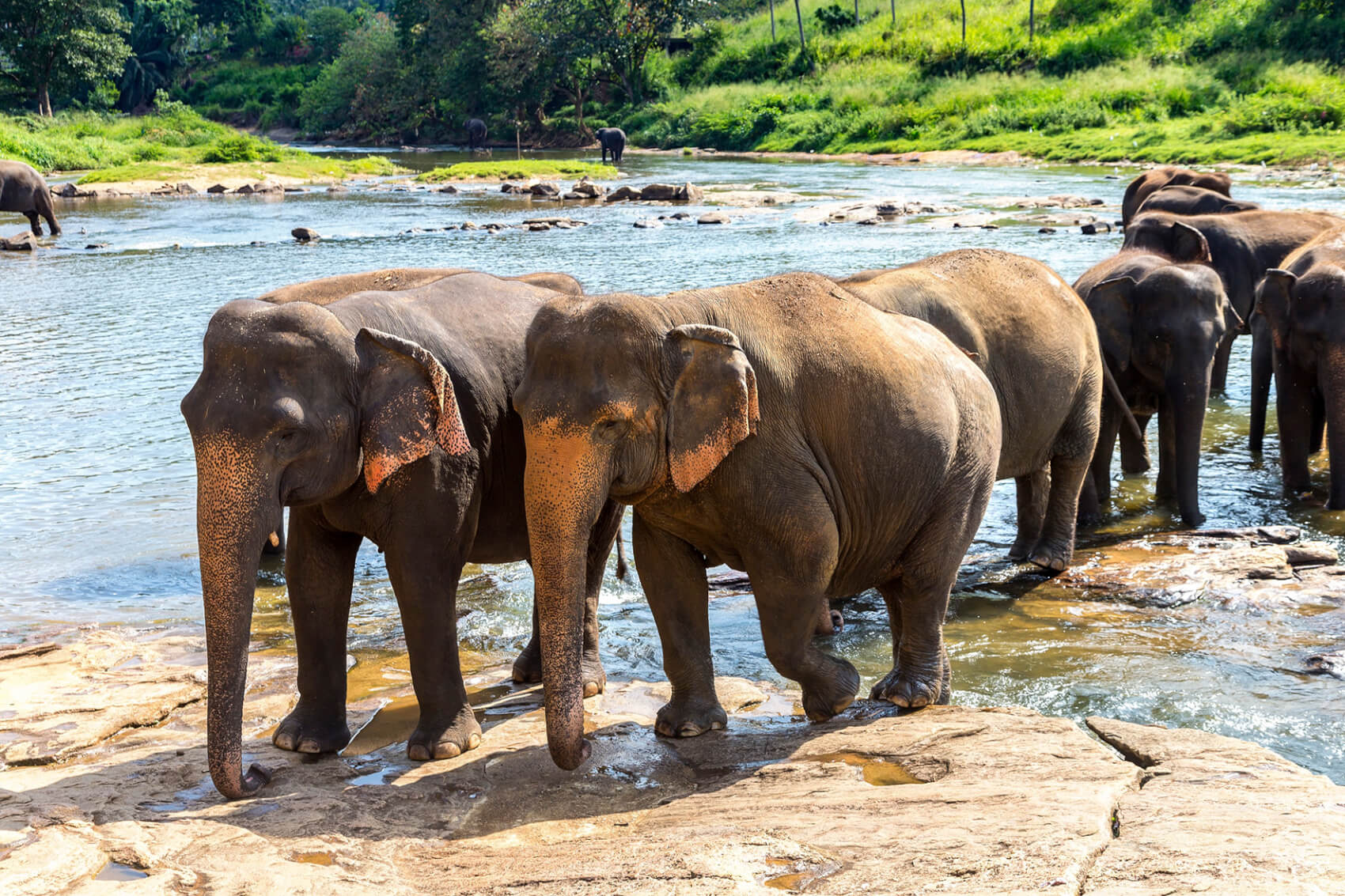 Sri Lanka